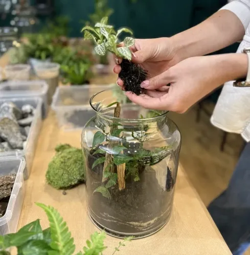 Poznan FOREST IN A JAR WORKSHOPS